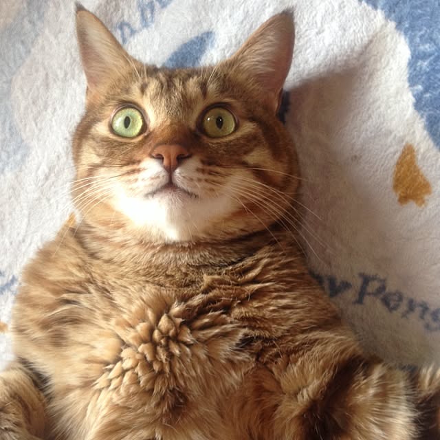 hikaさんの実例写真