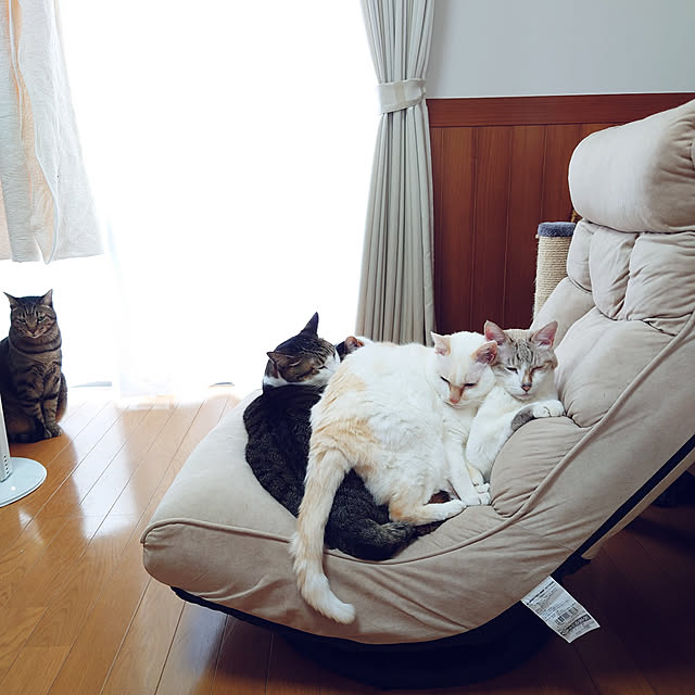 nachiさんの実例写真