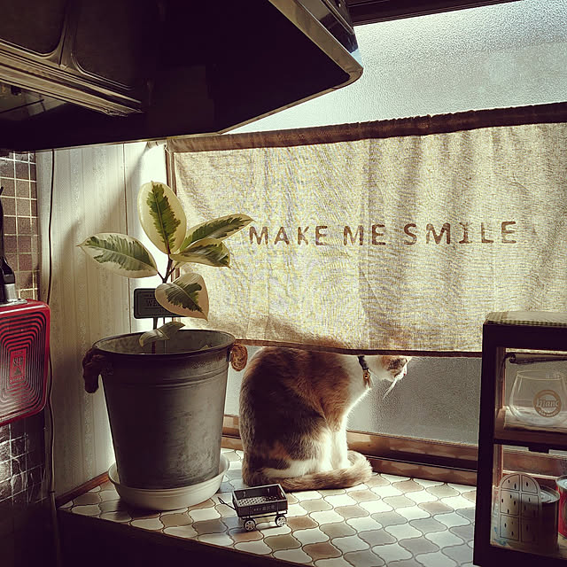 fukuさんの実例写真