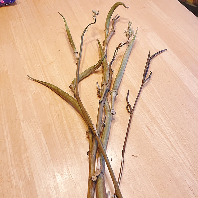 Megumiさんの部屋