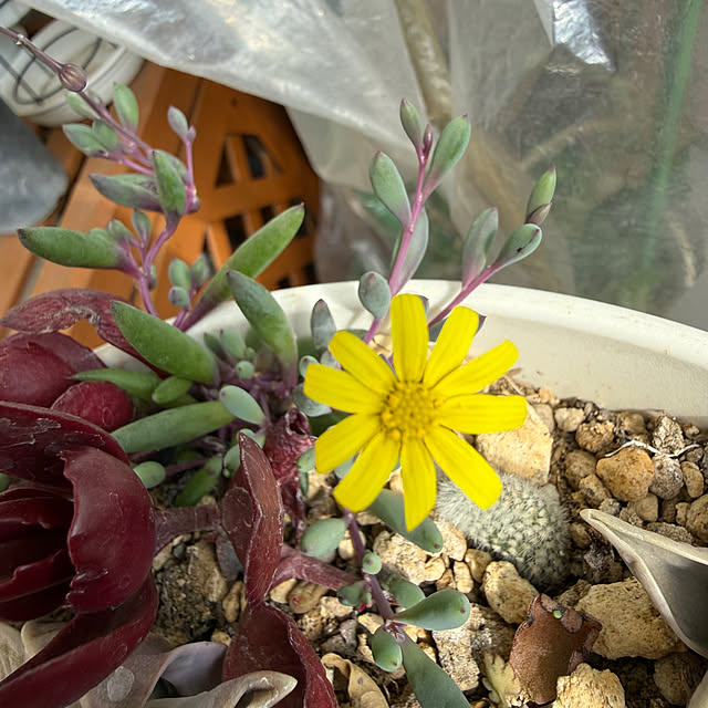 Aqettyさんの部屋