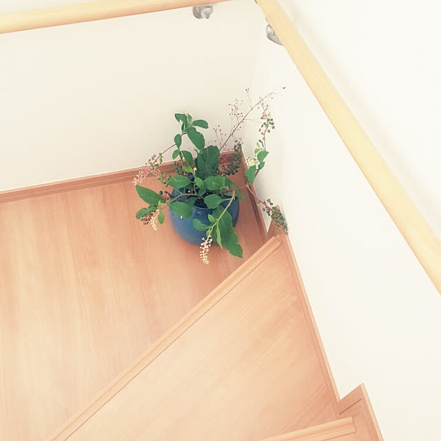 annaさんの実例写真