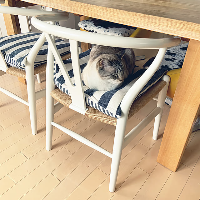 ozoさんの実例写真