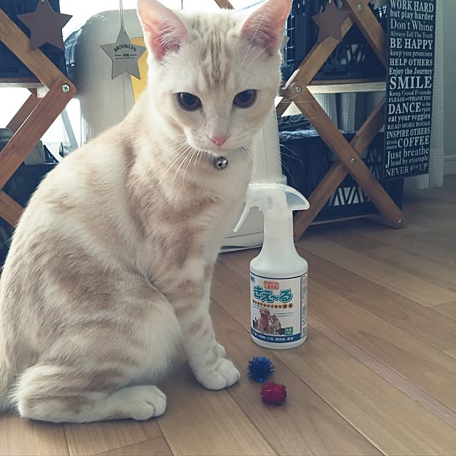hiyupan88さんの実例写真