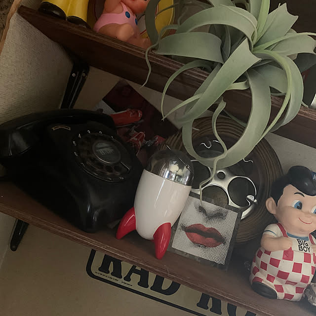 cushionさんの実例写真