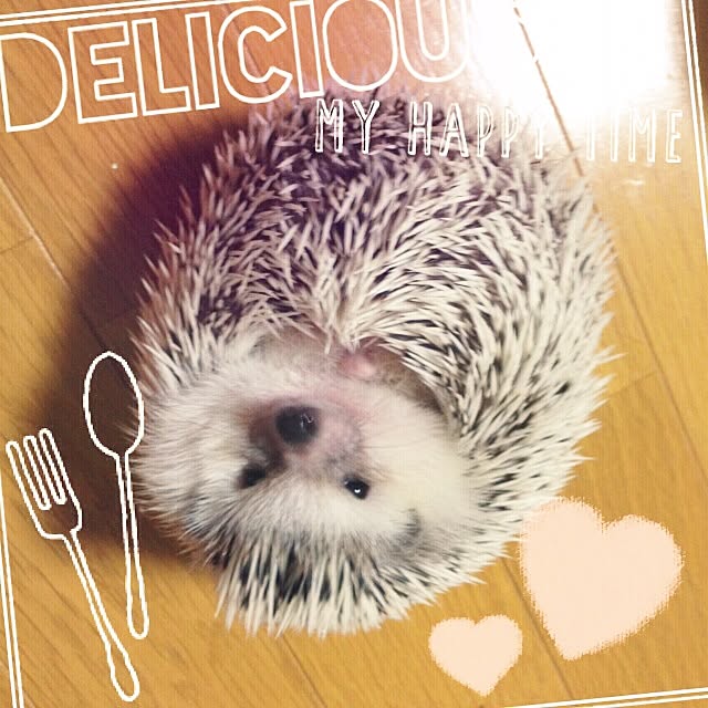 keeeさんの実例写真