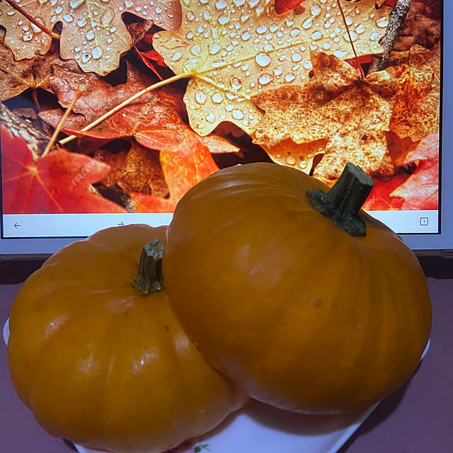 azupeeさんの部屋