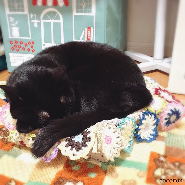 cocoronさんの実例写真