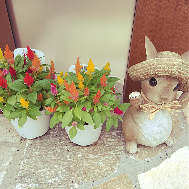 linkaさんの実例写真