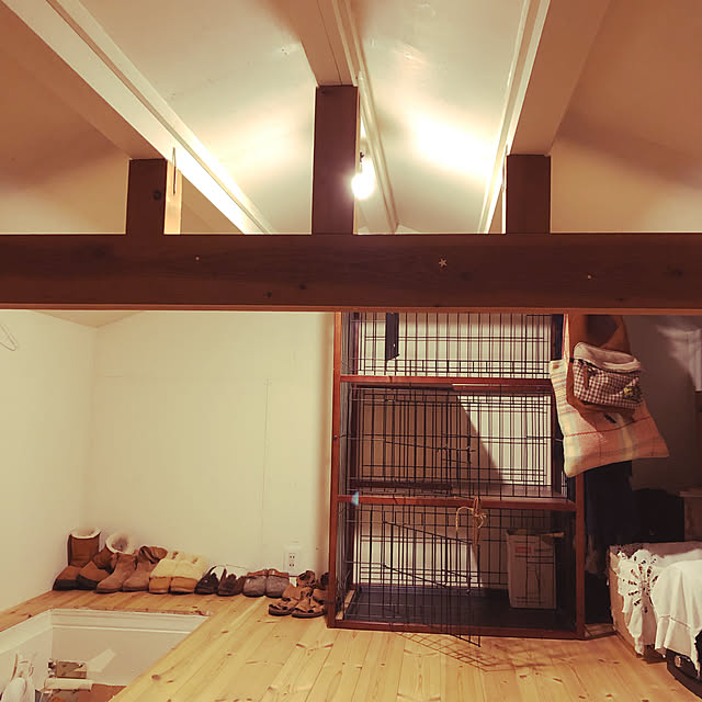 neko-2.2.2runmuさんの実例写真