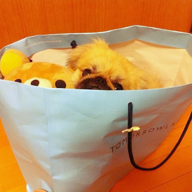 Eijiさんの実例写真