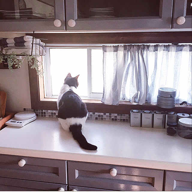 mahi1101さんの実例写真