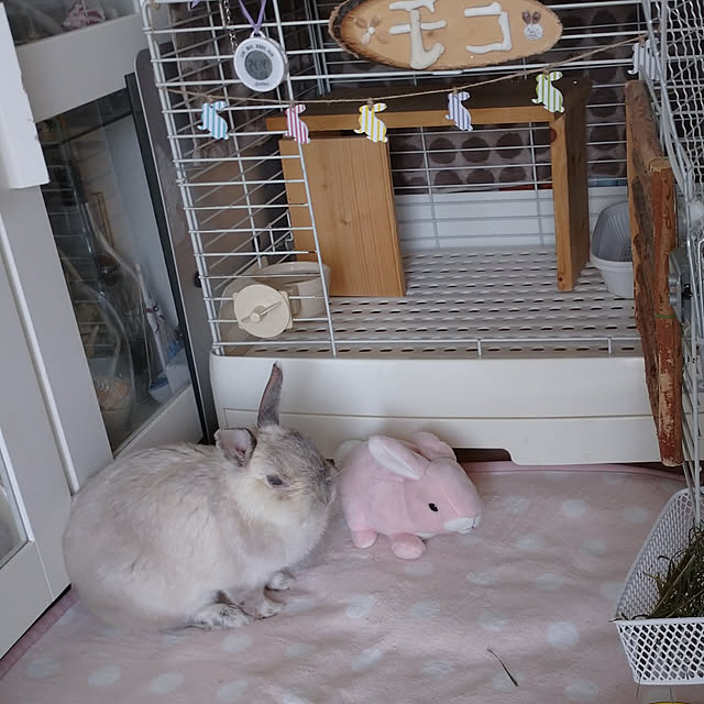 yokomokoさんの実例写真