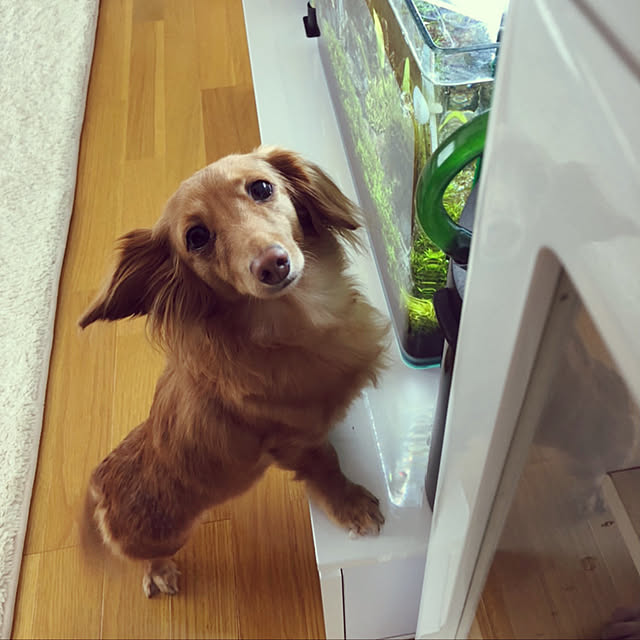 noricoさんの実例写真