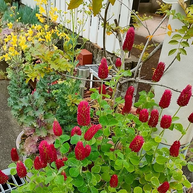 VERANDARJUNさんの実例写真