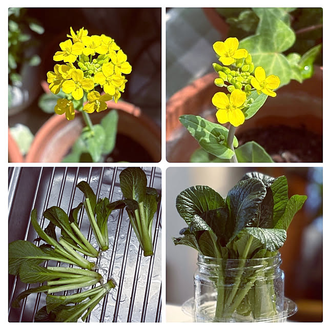 madamkaoriさんの部屋