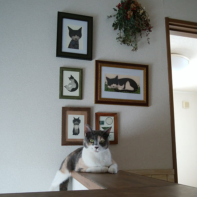 tomo1220さんの実例写真