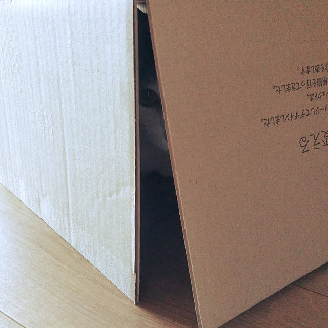 futukoさんの実例写真
