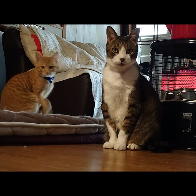 37さんの実例写真