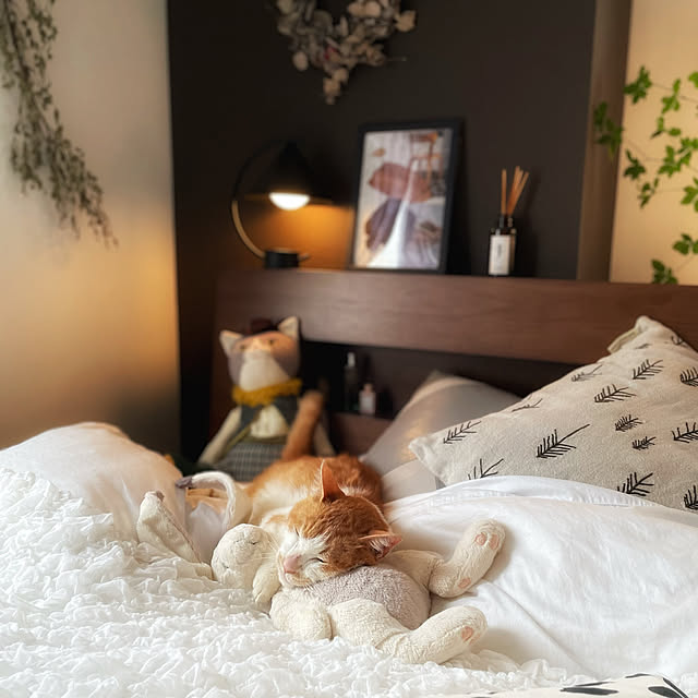 miruさんの部屋