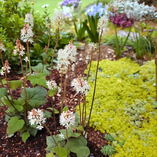 coconathuさんの部屋