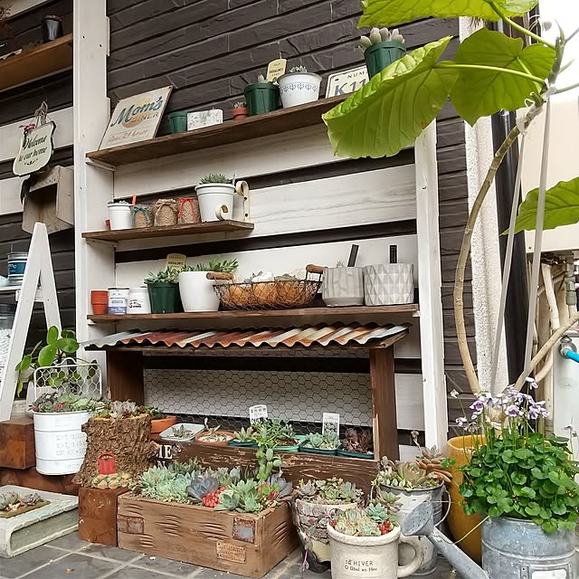 tomomiさんの部屋