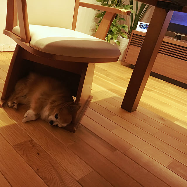 tomoさんの実例写真