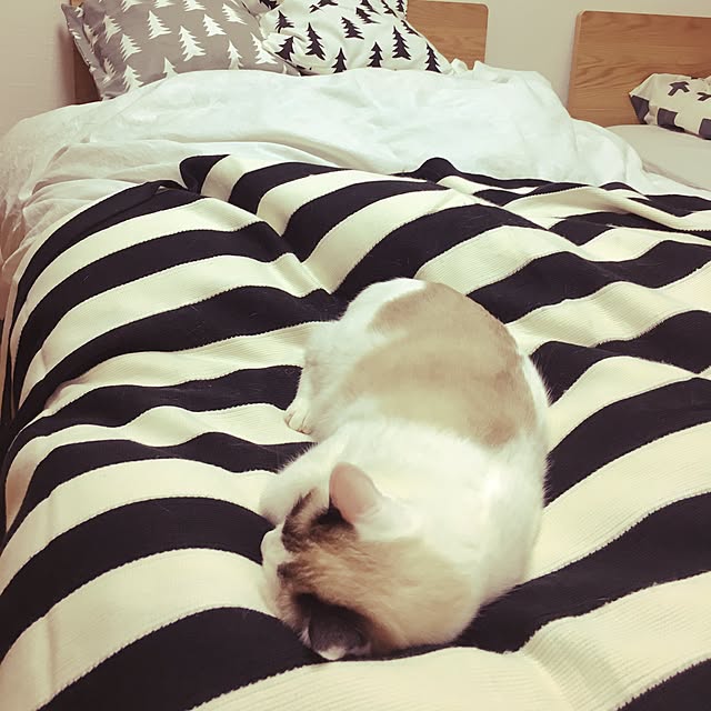 niko-25さんの実例写真