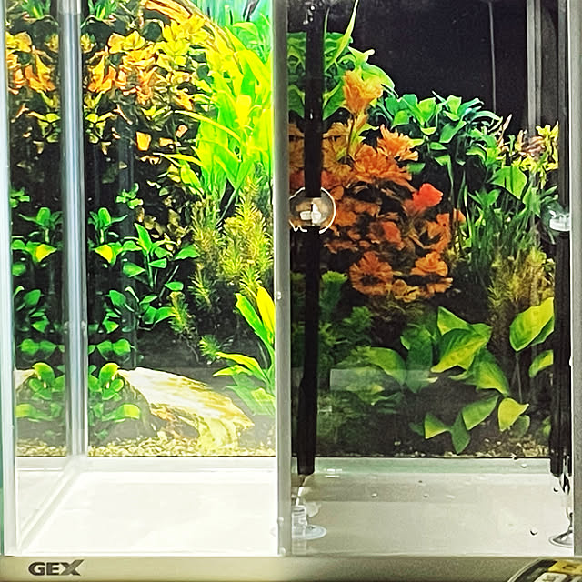 Ny77Coronさんの実例写真