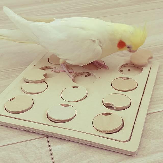 chicomaruさんの実例写真