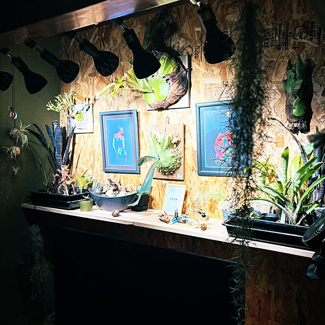 GiriGiriさんの実例写真