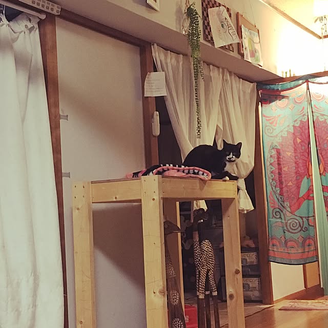 棚のインテリア実例 - 2016-12-11 19:00:42