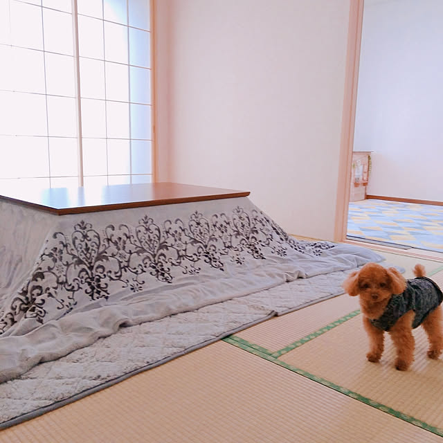 Samさんの実例写真