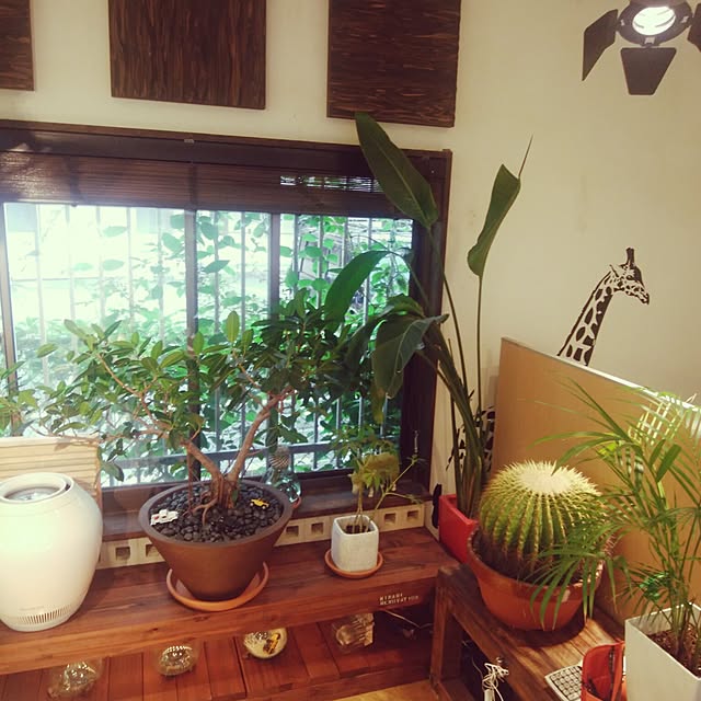 hiro9900さんの実例写真