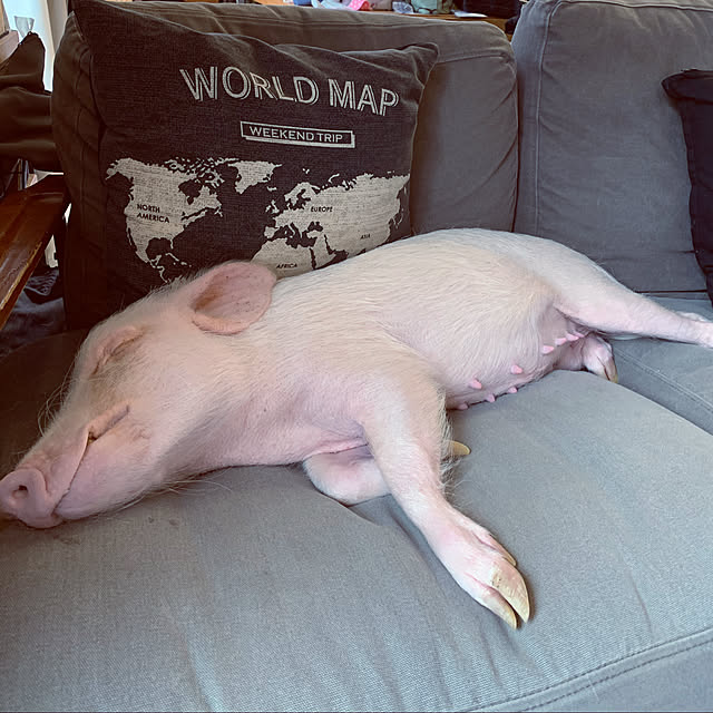UGさんの実例写真