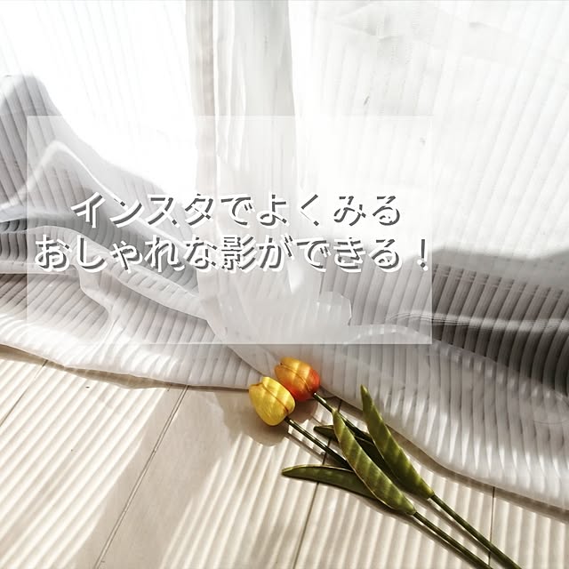 637さんの実例写真