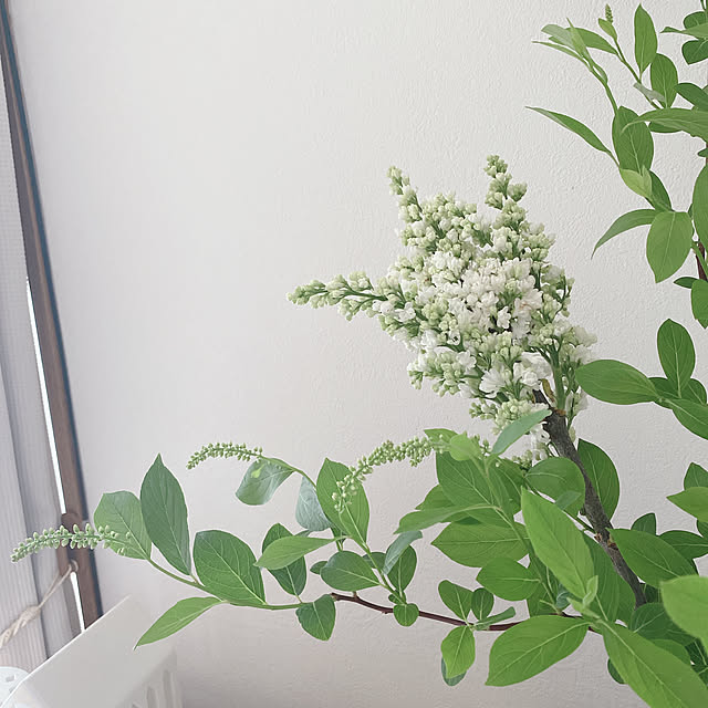 yukaさんの部屋