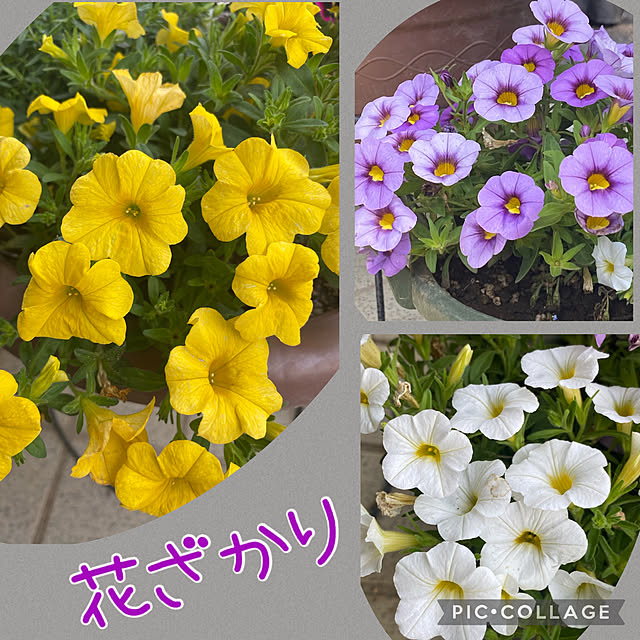 Smilkazuさんの部屋