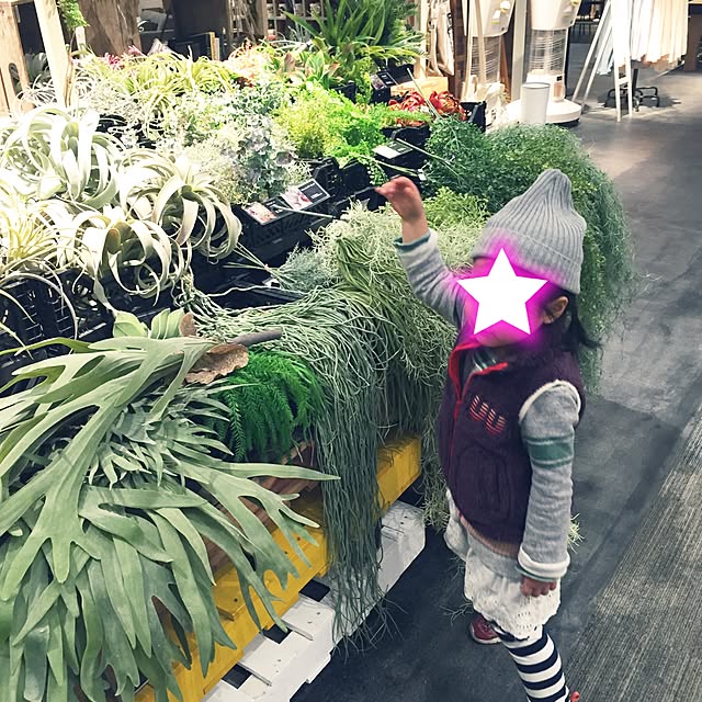 AOさんの実例写真