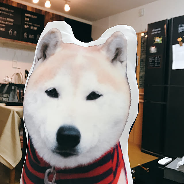 harukaさんの実例写真