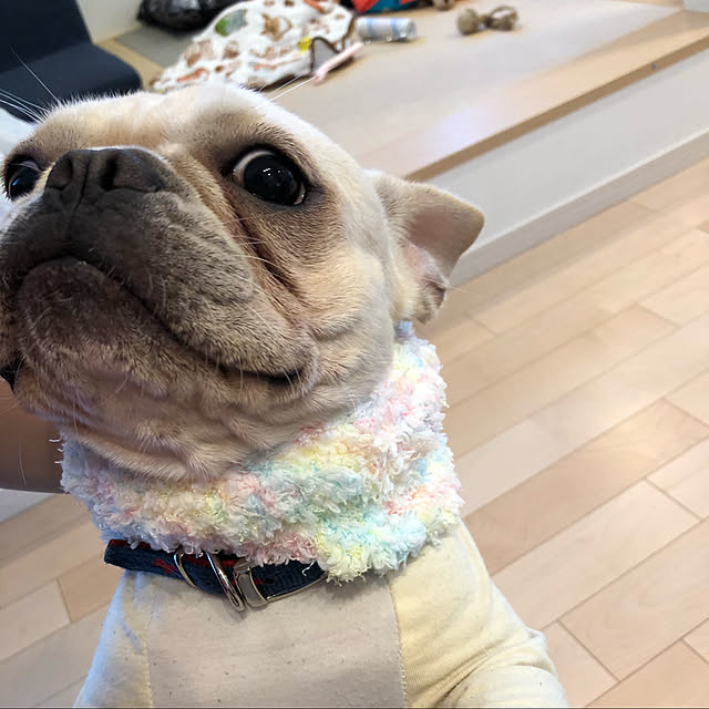 ukichiさんの実例写真