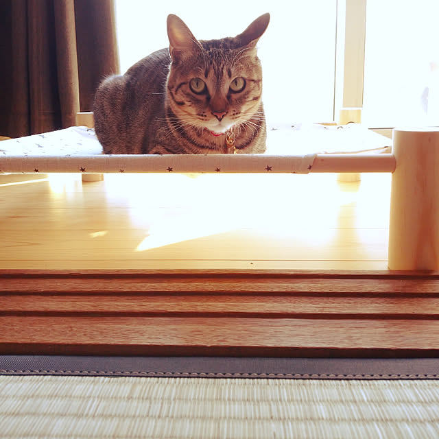 raraさんの実例写真
