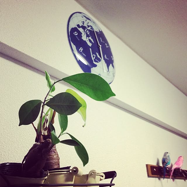 hidefumi56さんの実例写真