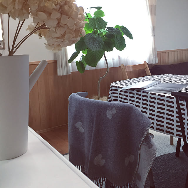 sorasoraさんの実例写真