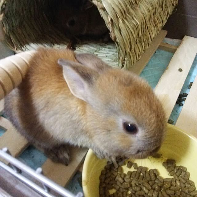 yu-ya1124さんの実例写真