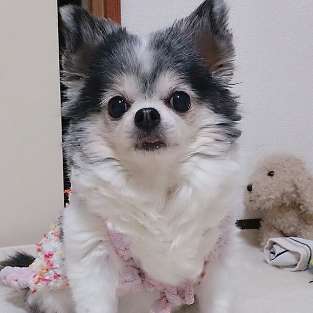 6023mitsuさんの実例写真