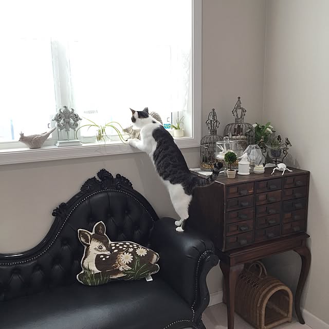 yuchiさんの実例写真
