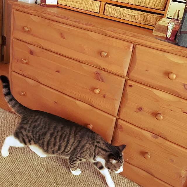kimikimiさんの実例写真