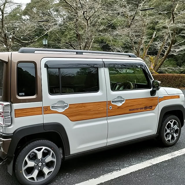 実例写真