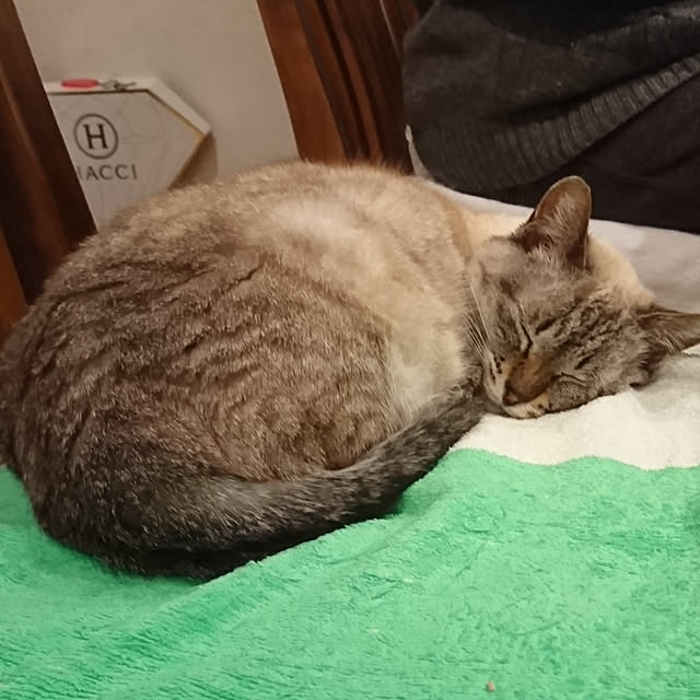 bonobono54さんの実例写真